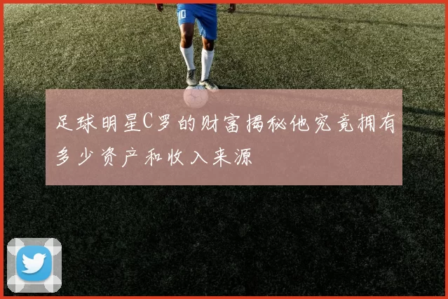 足球明星C罗的财富揭秘他究竟拥有多少资产和收入来源
