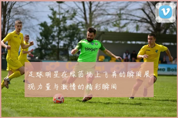 足球明星在绿茵场上飞奔的瞬间展现力量与激情的精彩瞬间