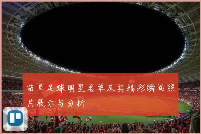 苗阜足球明星名单及其精彩瞬间照片展示与分析