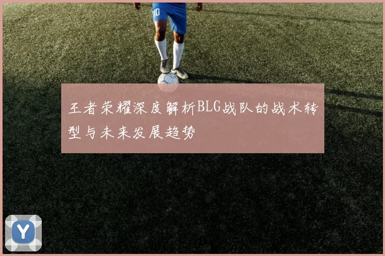 王者荣耀深度解析BLG战队的战术转型与未来发展趋势