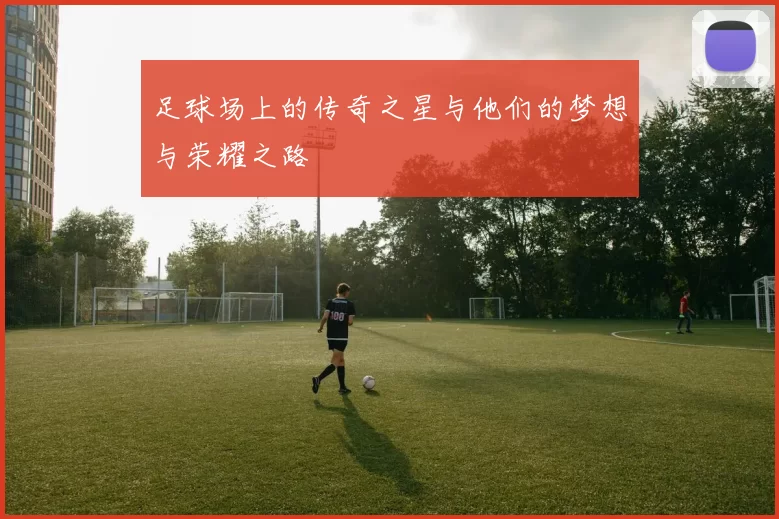 足球场上的传奇之星与他们的梦想与荣耀之路