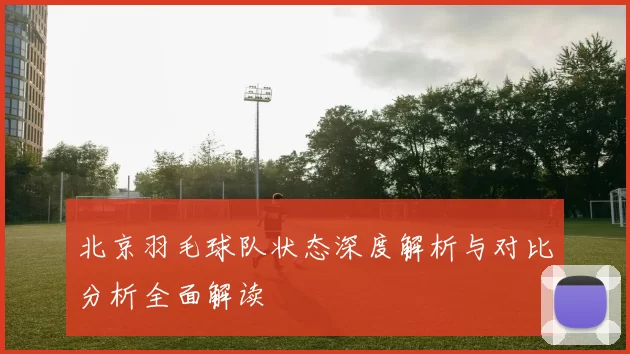北京羽毛球队状态深度解析与对比分析全面解读
