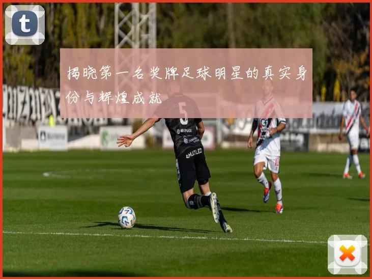 揭晓第一名奖牌足球明星的真实身份与辉煌成就