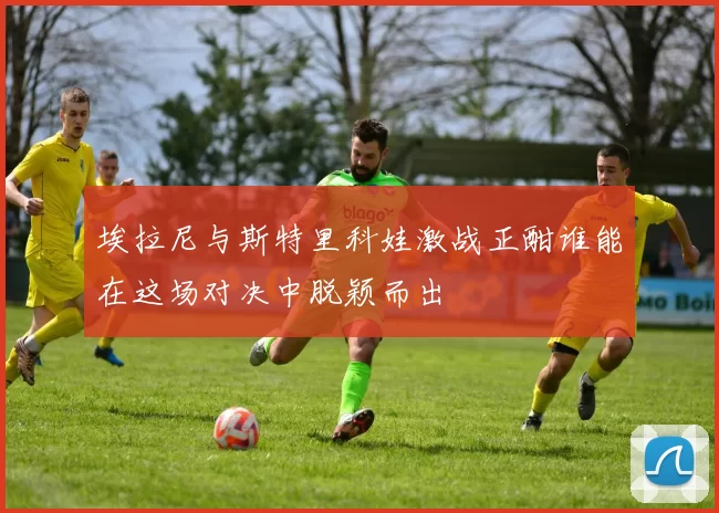埃拉尼与斯特里科娃激战正酣谁能在这场对决中脱颖而出