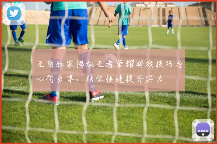 王丽独家揭秘王者荣耀游戏技巧与心得分享，助你快速提升实力