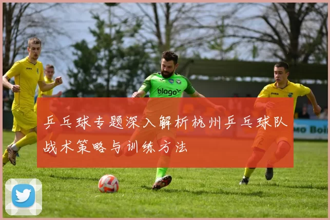 乒乓球专题深入解析杭州乒乓球队战术策略与训练方法