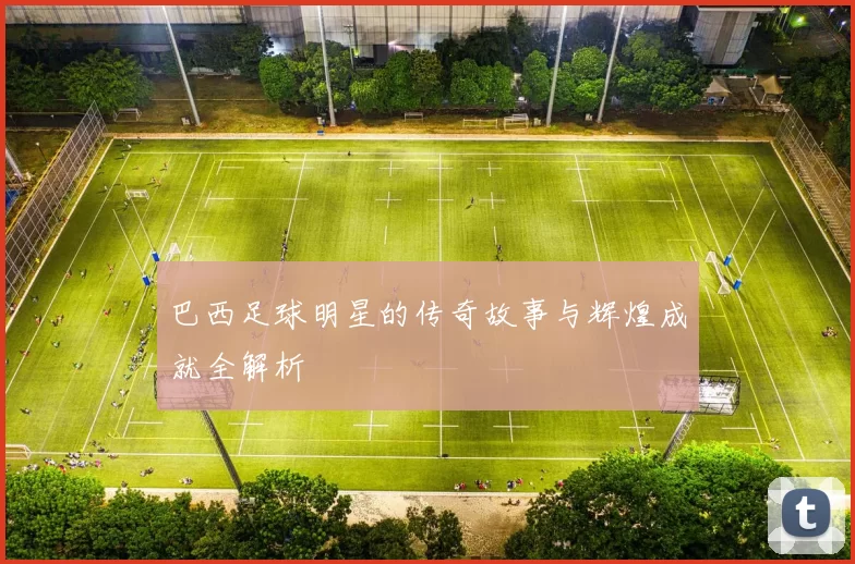 巴西足球明星的传奇故事与辉煌成就全解析