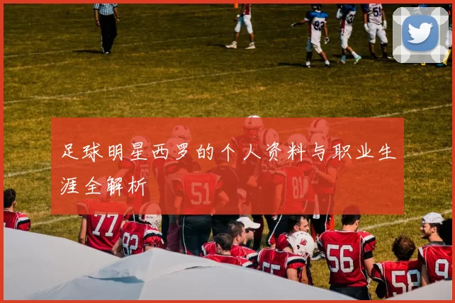 足球明星西罗的个人资料与职业生涯全解析