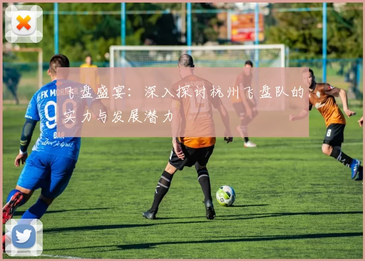 飞盘盛宴：深入探讨杭州飞盘队的实力与发展潜力