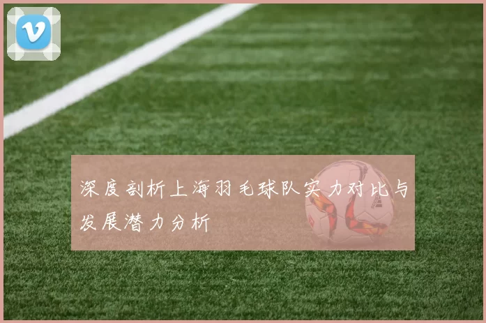 深度剖析上海羽毛球队实力对比与发展潜力分析