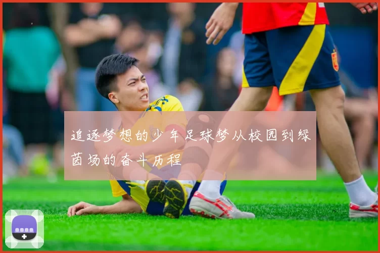 追逐梦想的少年足球梦从校园到绿茵场的奋斗历程
