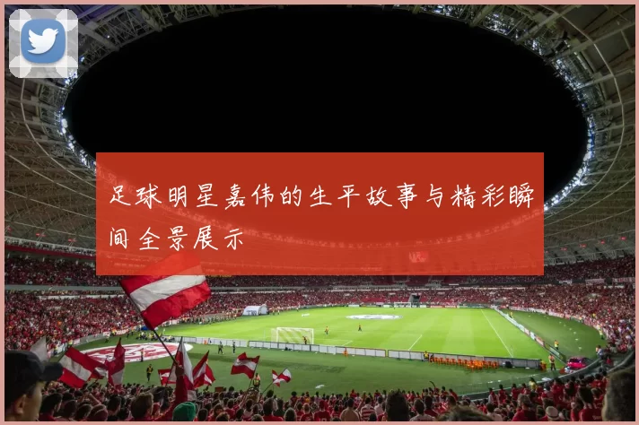 足球明星嘉伟的生平故事与精彩瞬间全景展示
