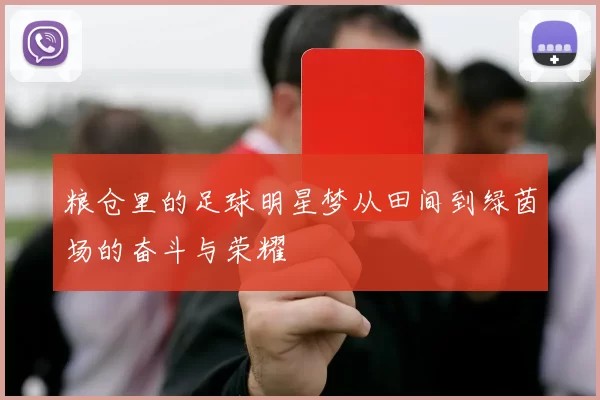 粮仓里的足球明星梦从田间到绿茵场的奋斗与荣耀