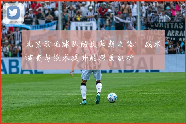 北京羽毛球队防反革新之路：战术演变与技术提升的深度剖析